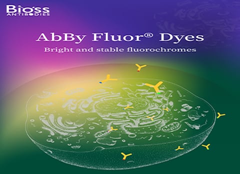AbBy Fluor Dyes landing page-1